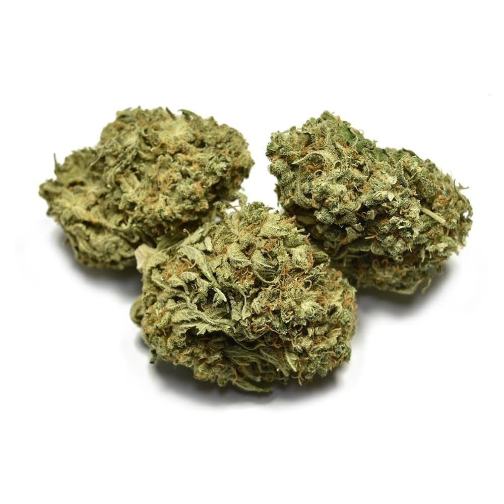 Buy Big Bud Feminized by Seed Supreme | SeedSupreme