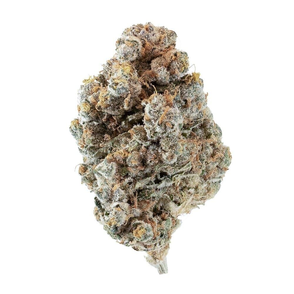 Buy Blueberry Head Band Feminized by Seed Supreme | SeedSupreme