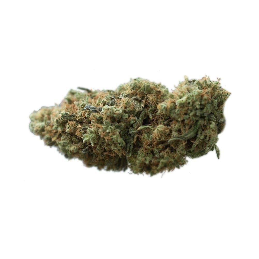 Buy Blueberry x Cream Cheese Autoflower by Seed Supreme | SeedSupreme