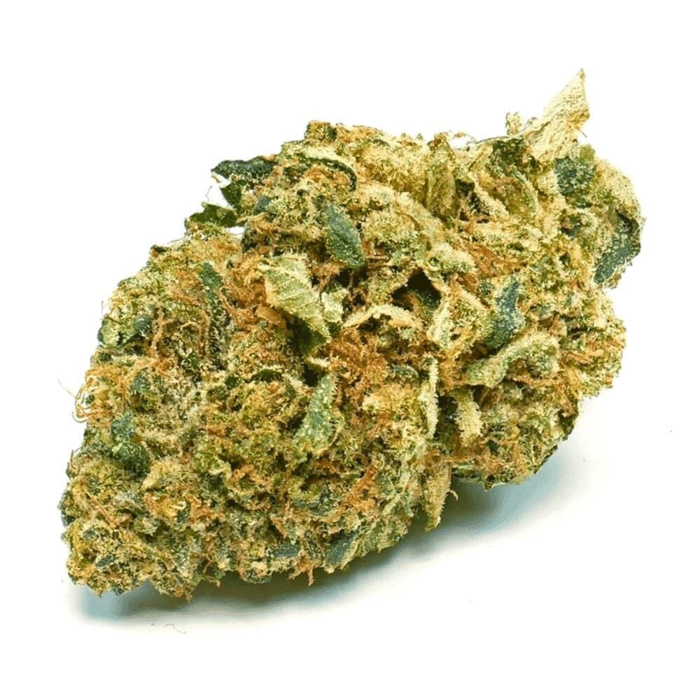 Buy Bubba Kush Feminized by Seed Supreme | SeedSupreme