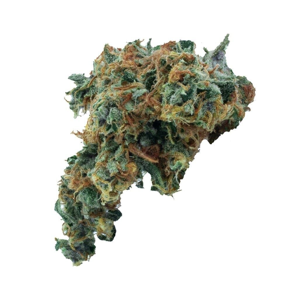 Buy California Orange x Skunk Feminized by Seed Supreme | SeedSupreme