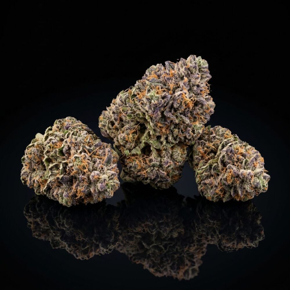 Granddaddy Purple Auto Seeds | SeedSupreme