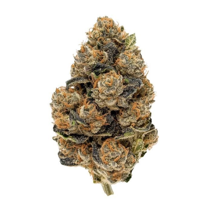 Guava Galaxy Feminized | Seed Supreme