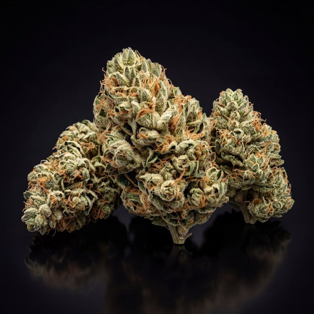 Jack Herer Autoflower Seeds | Award-Winning Strain, Easy to Grow