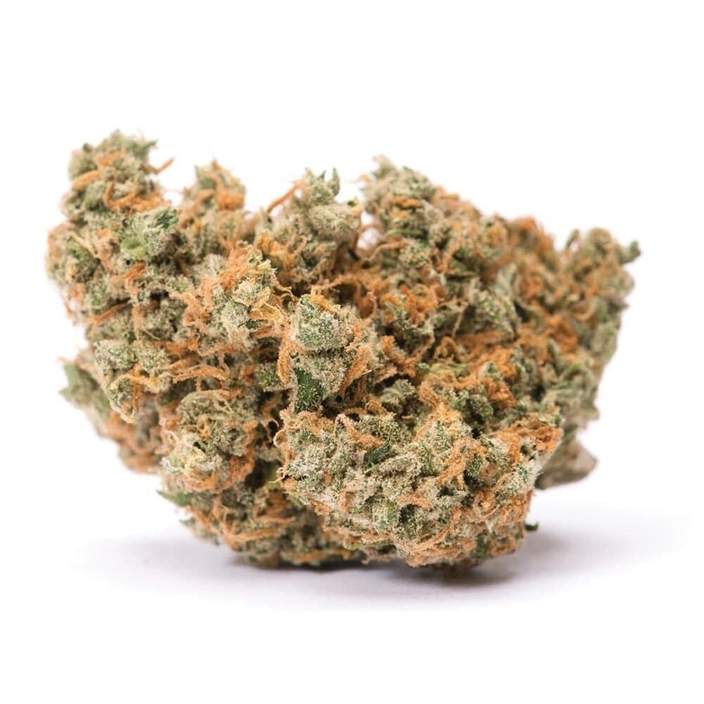 Buy Jack Herer Feminized by Seed Supreme | SeedSupreme