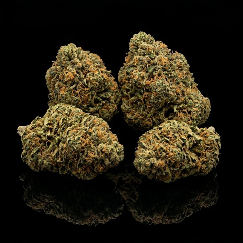 Buy Maui Wowie Feminized Seeds - Homegrown Cannabis Co