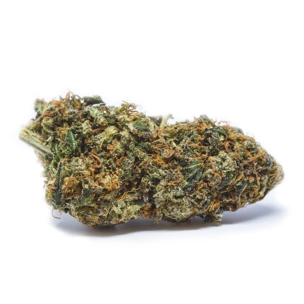 Buy Mexican Haze Feminized Seeds by Seed Supreme | SeedSupreme