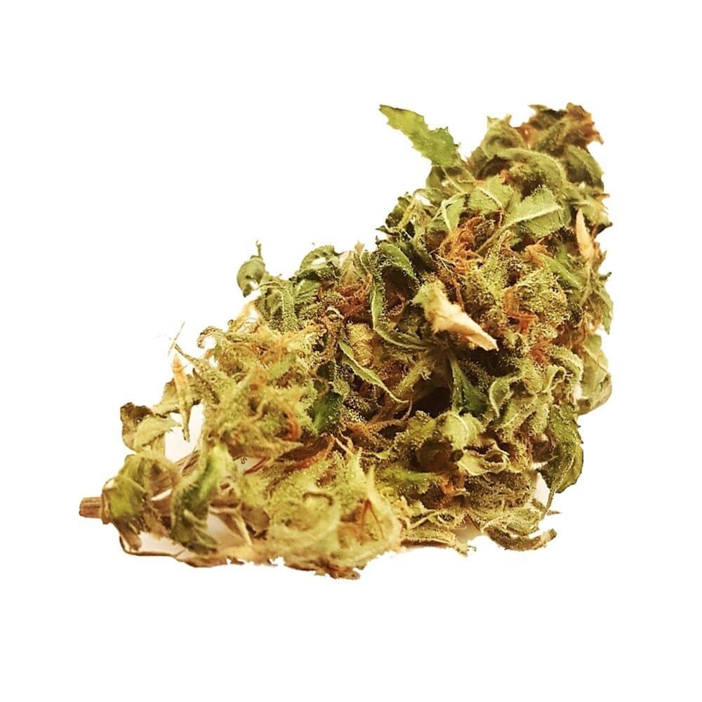 Buy Northern Lights #5 x Amnesia Haze Feminized Seeds by Seed