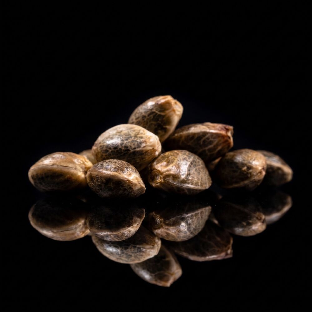 Green Crack THCa + Seeds Bundle | Seed Supreme