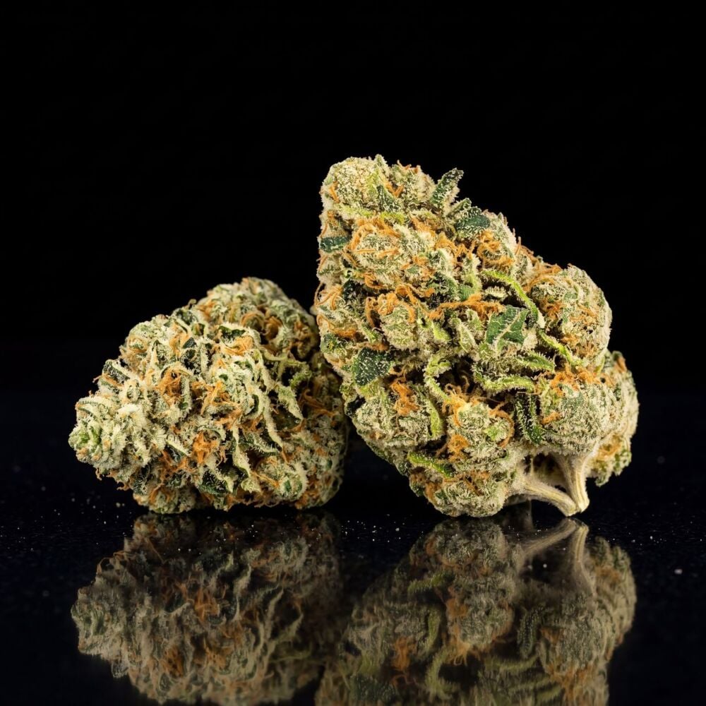 Buy Super Lemon Haze Feminized Seeds by Seed Supreme | SeedSupreme