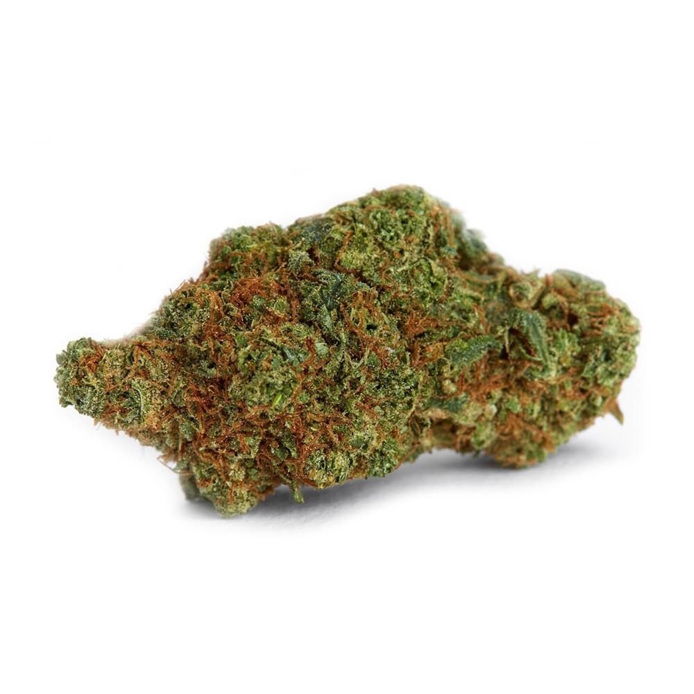 Rページ　20ml × 3種 + Tangie × 5ml Buy Tangie Feminized by Seed Supreme | SeedSupreme