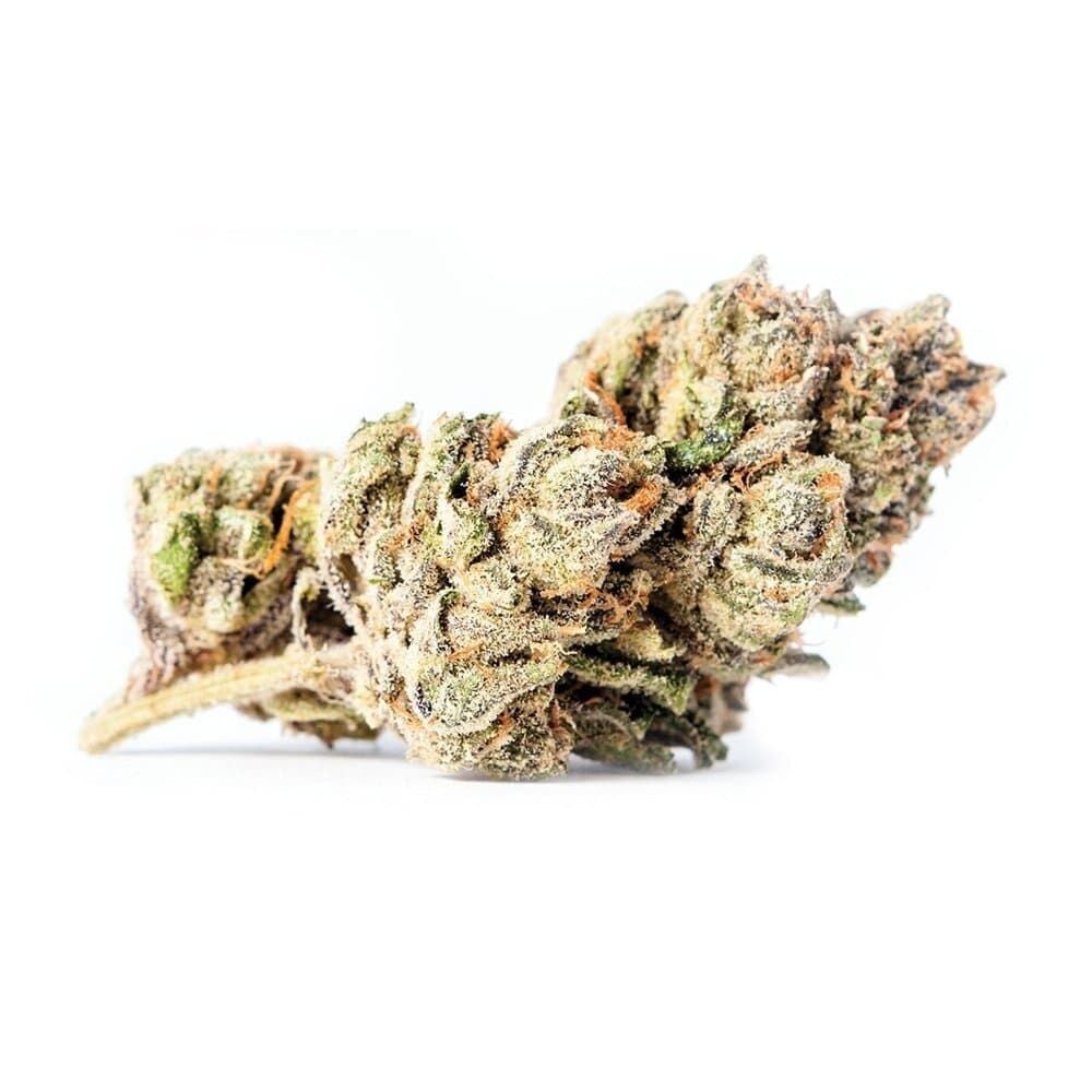 Buy Zkittlez Feminized by Seed Supreme | SeedSupreme