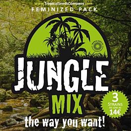 Tropical Seeds Jungle Mix Feminized