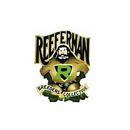 Reeferman Seeds Black Seed Regular