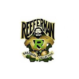 Reeferman Seeds Willie Nelson Regular