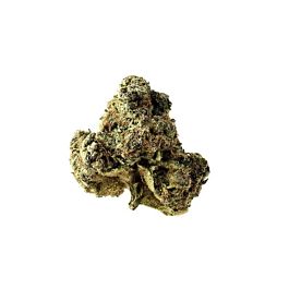 Amsterdam Genetics AK OG Kush Feminized