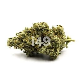 Alien GG Regular Cannabis Seeds 