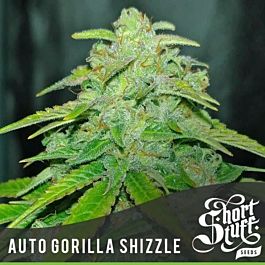 Short Stuff Seeds Auto Gorilla Shizzle Feminized
