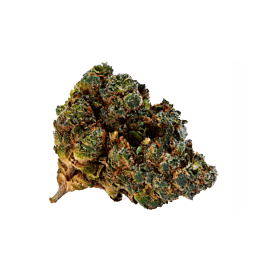 Top Shelf Elite Auto Black Valium Feminized