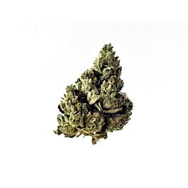 Amsterdam Genetics Auto Choco Kush Feminized