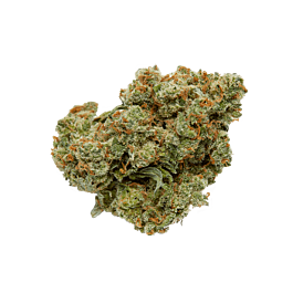 Top Shelf Elite Auto Glue Dream Feminized