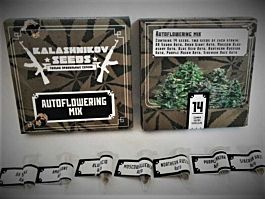 Kalashnikov Seeds Autoflowering Mix Feminized