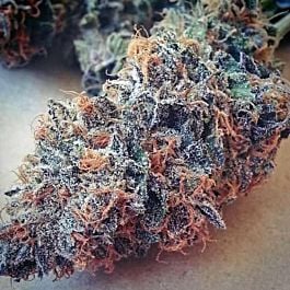 BC Bud Depot Ultimate Purple Regular