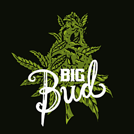 Buy Big Bud Fast Version by SeedSupreme | SeedSupreme