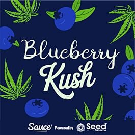Blueberry Kush Feminized - Sauce