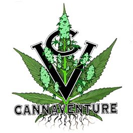 Cannaventure Seeds 425 Regular