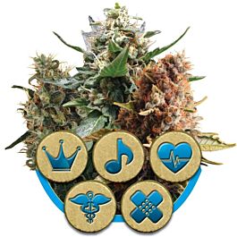 Royal Queen Seeds CBD Mix Feminized