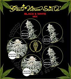 Green House Company Black and White Mix Feminised