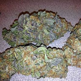 Jordan Of The Islands Deep Purple Regular
