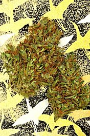 Delta 9 Labs Fondue Feminized