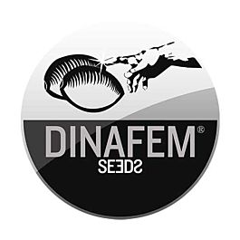 Dinafem Coleccionista Mix #6 Feminised