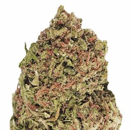 Heavyweight Seeds Dream Machine Feminized
