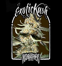 The Kush Brothers Exotic Kush Feminized