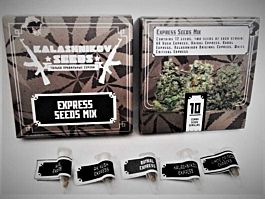 Kalashnikov Seeds Express Mix Feminized