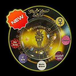 Green House Company Indica Mix E Feminised