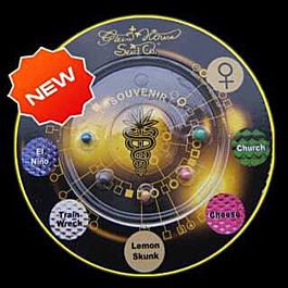 Green House Company Indica Mix I Feminised
