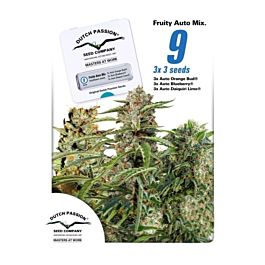 Dutch Passion Fruity Auto Feminized Mix Seeds 