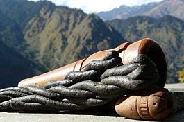 The Real Seed Company Garhwali Shiva Regular