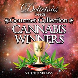 Delicious Gourmet Cannabis Winners Collection #1 Feminized