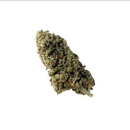 Amsterdam Genetics Green Magic Feminized
