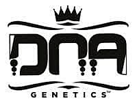 DNA Genetics DNA Genetics Feminized Mix Pack