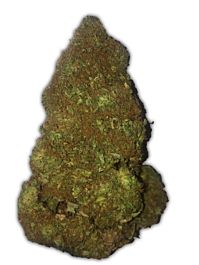 Heavyweight Seeds Jackpot Auto Feminized