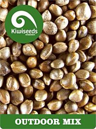 Kiwi Seeds Outdoor Mix Feminized