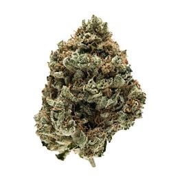 Reserva Privada Kosher Kush Feminised