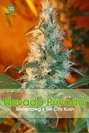 Alphakronik Genes Seeds Nevada Privada Regular