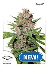 Dutch Passion Passion Fruit Feminized Seeds 